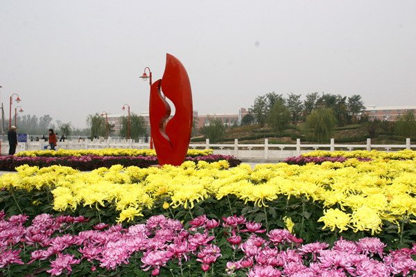 米兰体育在线登录入口教师任总编剧的动