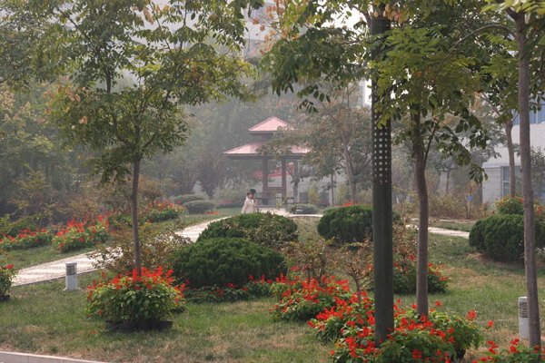 体育米兰体育在线登录入口举办“鸿归计